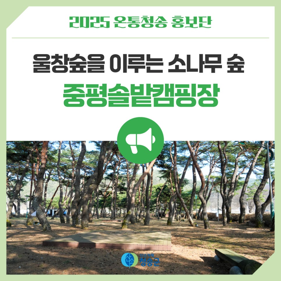 중평솔밭 사진 1