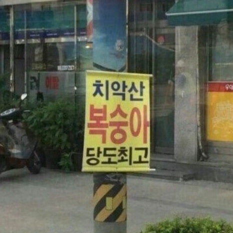 소말뚝안창살 사진 1