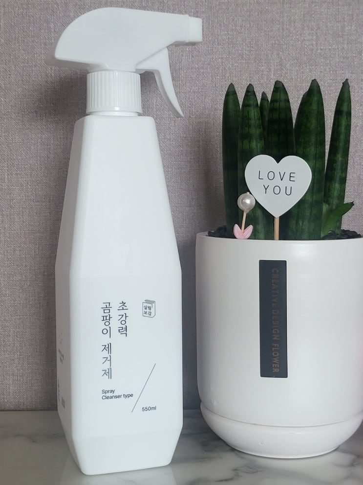  실크벽지 손상없이 곰팡이제거  뿌리면 끝 사용 후기