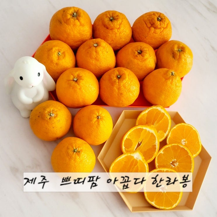 쁘띠팜 잔류농약 걱정없는 제주 아꼽다 자연한라봉 후기 (feat. 서이추이벤트선물)