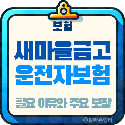 새마을금고 운전자보험 필요 이유와 주요 보장