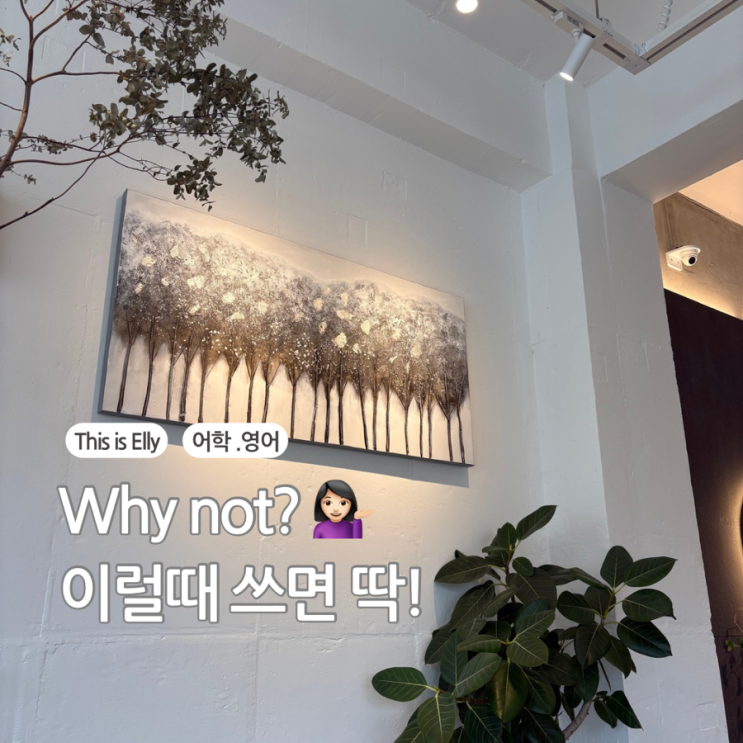  Why not ? 뜻과 쓰는 상황 쉬운 영어회화 배우기!