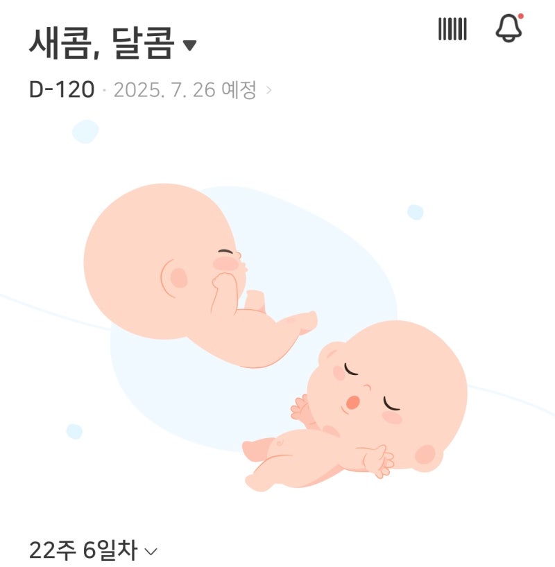 [임신 22주차] 일란성 쌍둥이 삼성생명 태아 보험 가입 성공(농협 탈락)