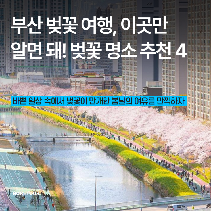  부산 벚꽃 여행, 이곳만 알면 돼! 벚꽃 명소 추천 4