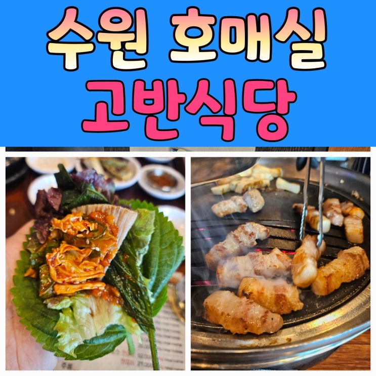  수원 호매실 맛집 고반식당 방문 후기 (내돈내산)