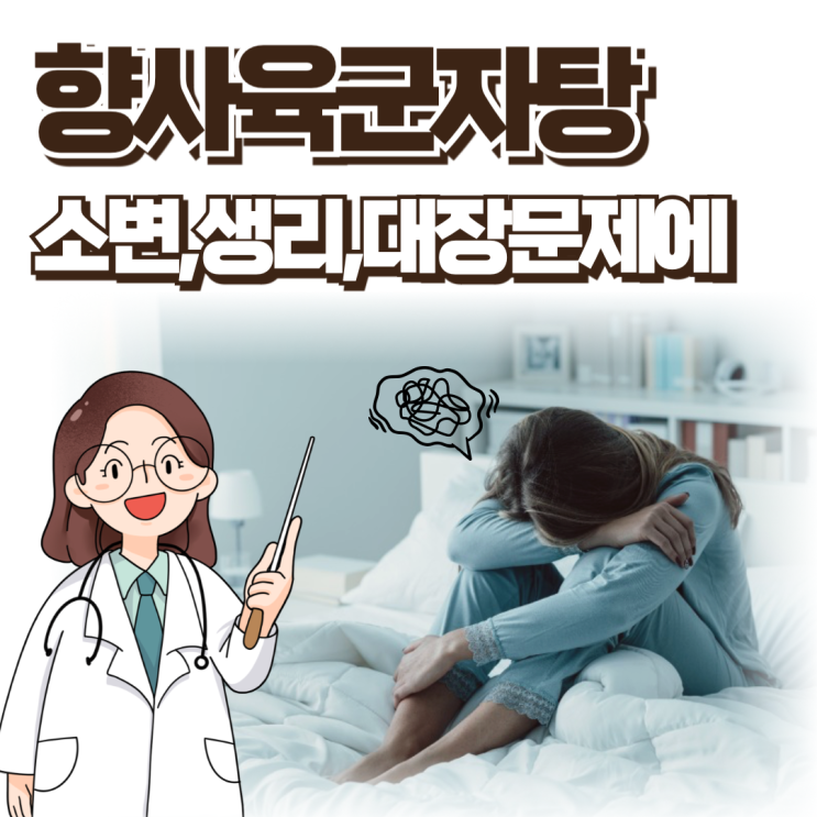 향사육군자탕 효능 약재 입맛 없고 소화 안될때