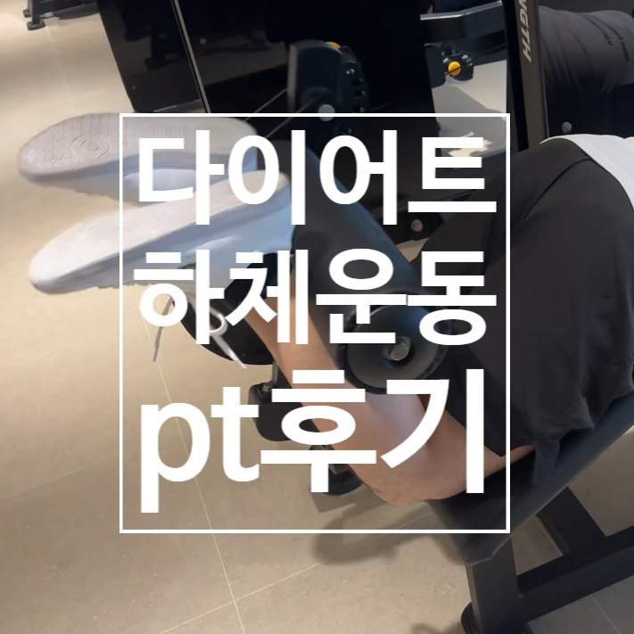  덕이동 헬스장 다이어트를 위한 하체운동 팁! 레디바디 탄현점