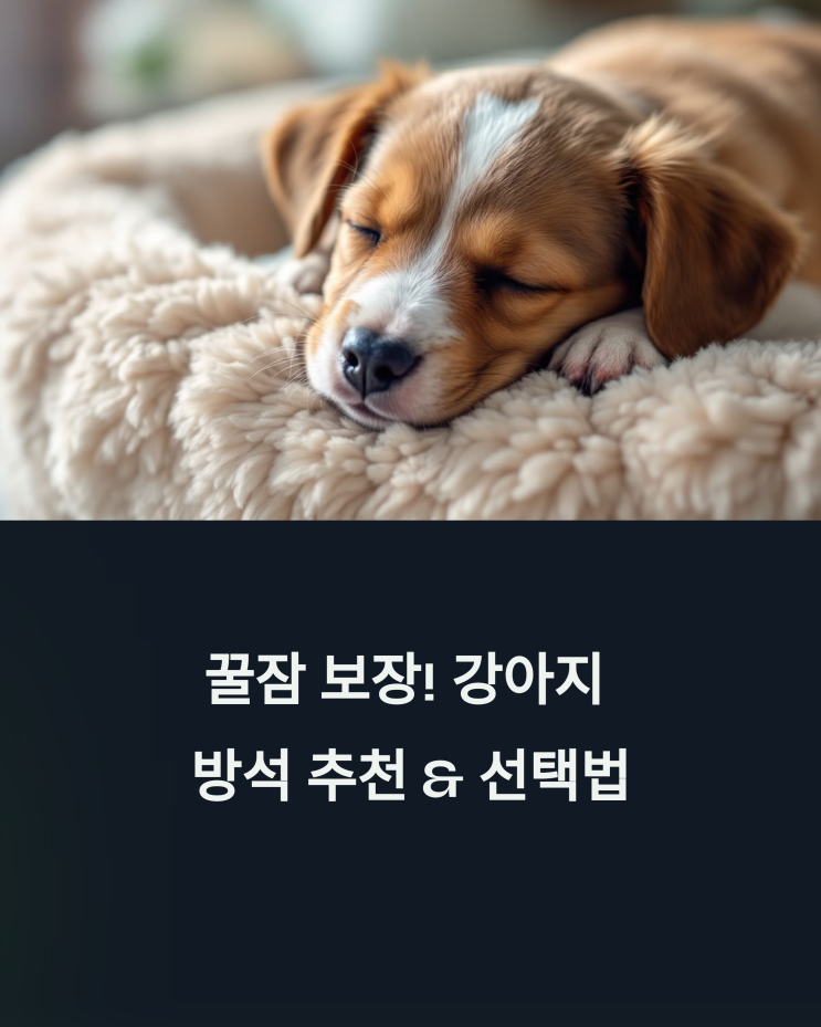  꿀잠 보장! 강아지 방석 추천 & 선택법 (관절 보호부터 여름용까지 완벽 가이드)