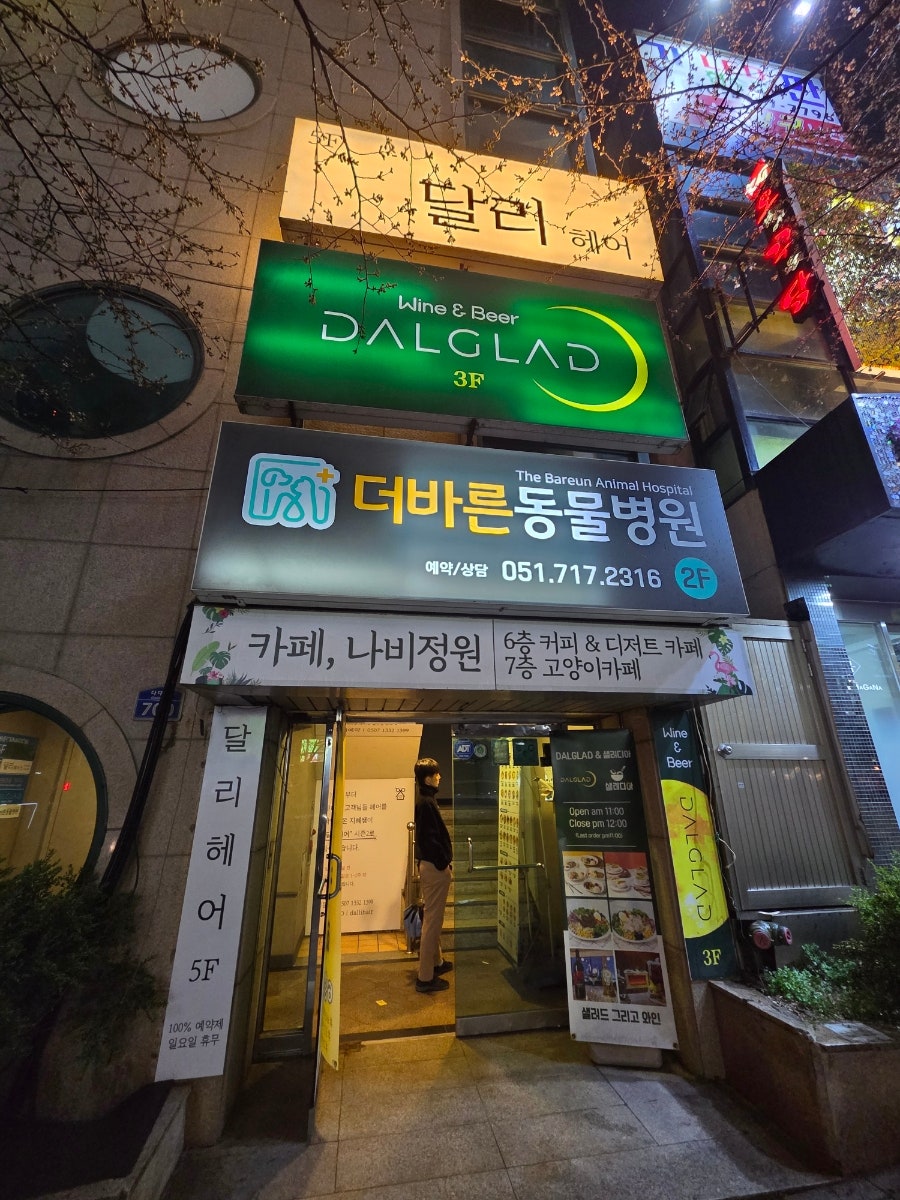 달그래드 사진 3