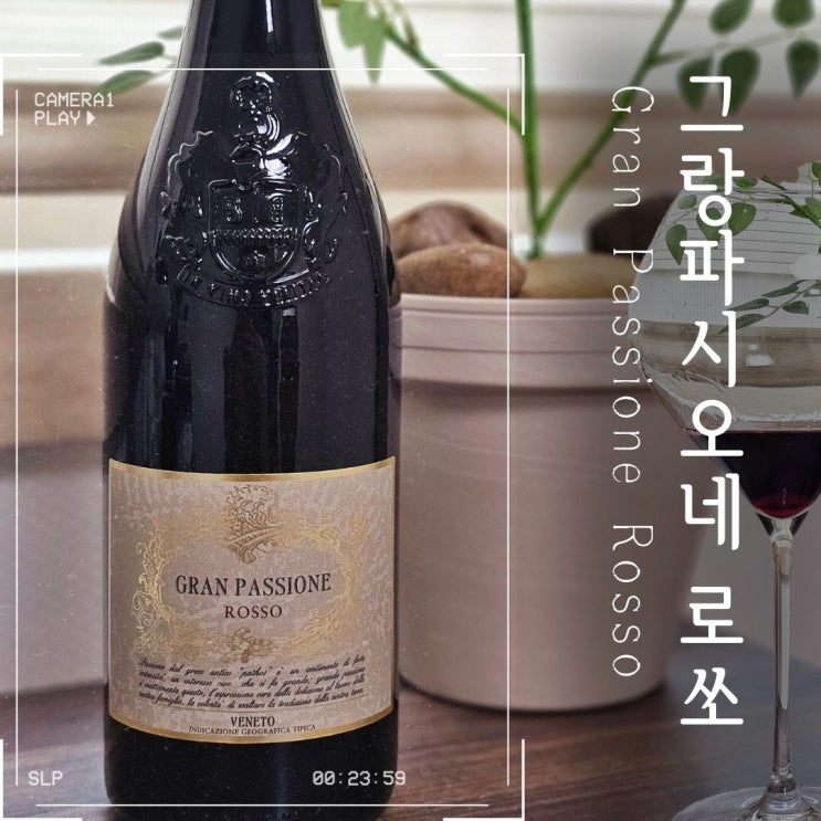  그랑파시오네로쏘 Gran Passione Rosso 롯데마트 레드와인추천