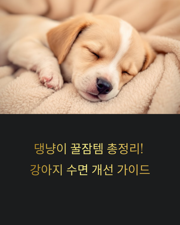  댕냥이 꿀잠템 총정리! 강아지 잠버릇 교정 & 편안한 잠자리 만들기