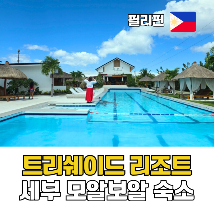 세부 모알보알 자유여행 신상 숙소 트리쉐이드 리조트 수영장 조식
