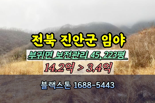  진안군 토지 경매 임야 4만평 3억대 [2023타경7558]