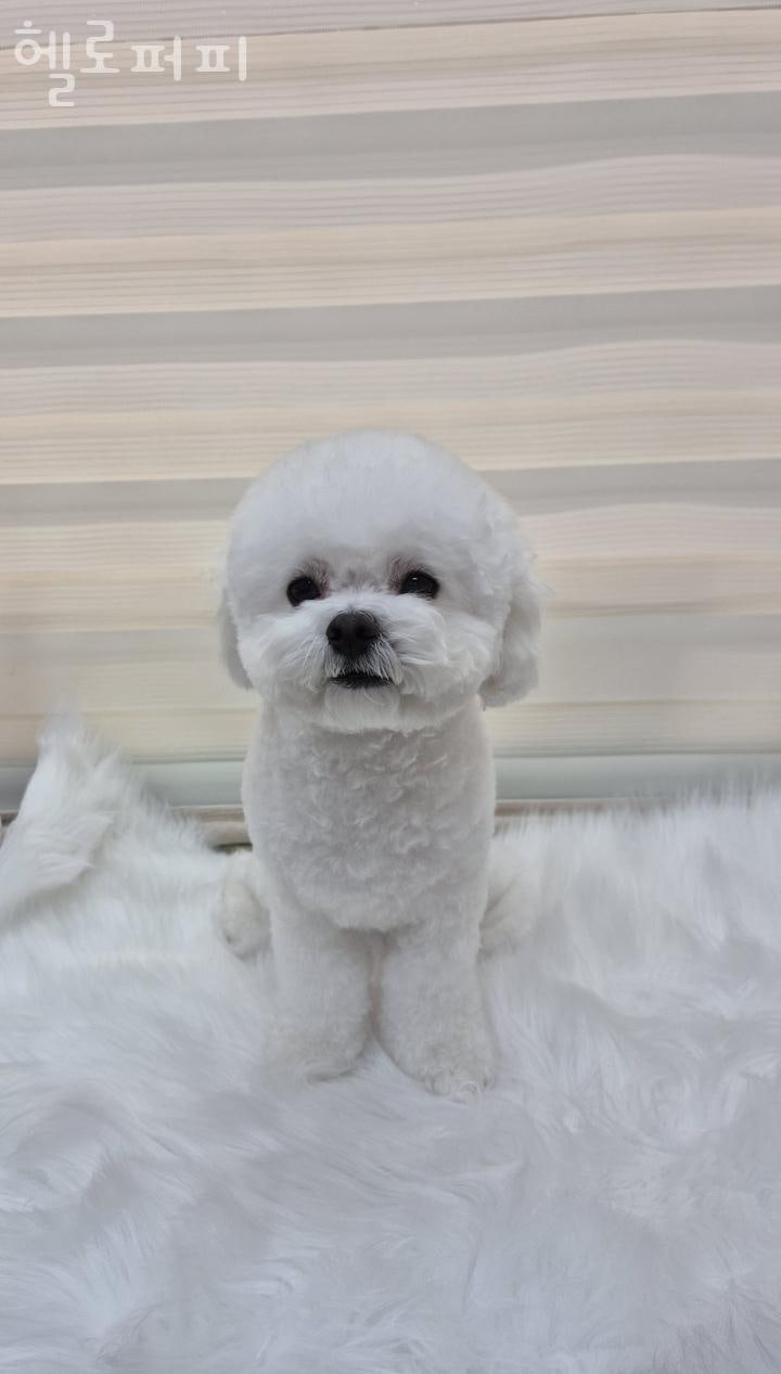 사진 3