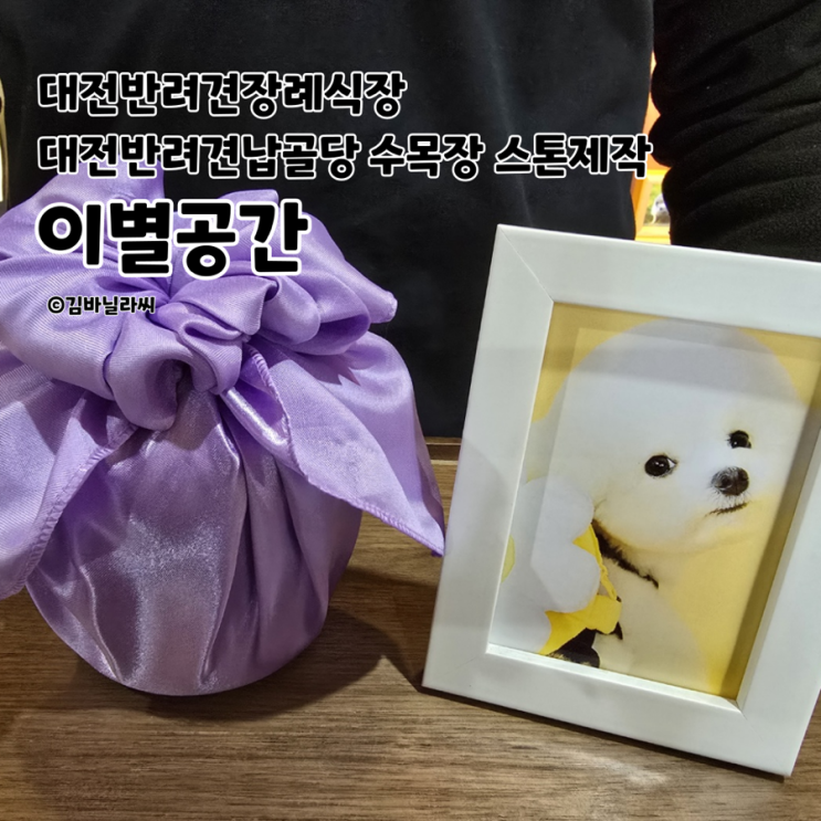  대전 반려견 장례식장 이별공간 납골당 수목장 스톤 제작