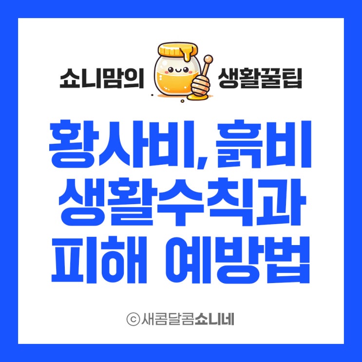  황사비와 흙비 내릴 때 생활 상식과 피해 예방법, 차량 관리