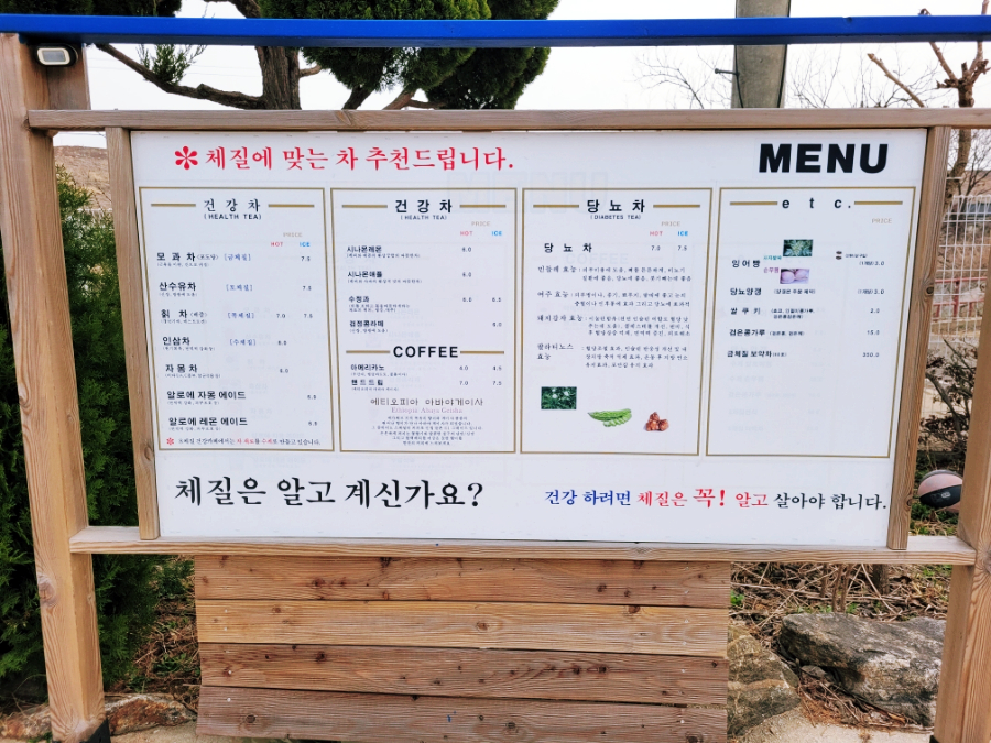 토니아 사진 4