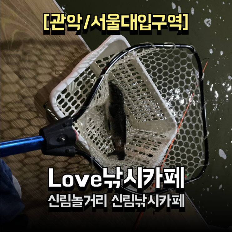  신림놀거리 일반카페말고 낚시카페 엌던데. 서울대입구 LOVE낚시카페 후기