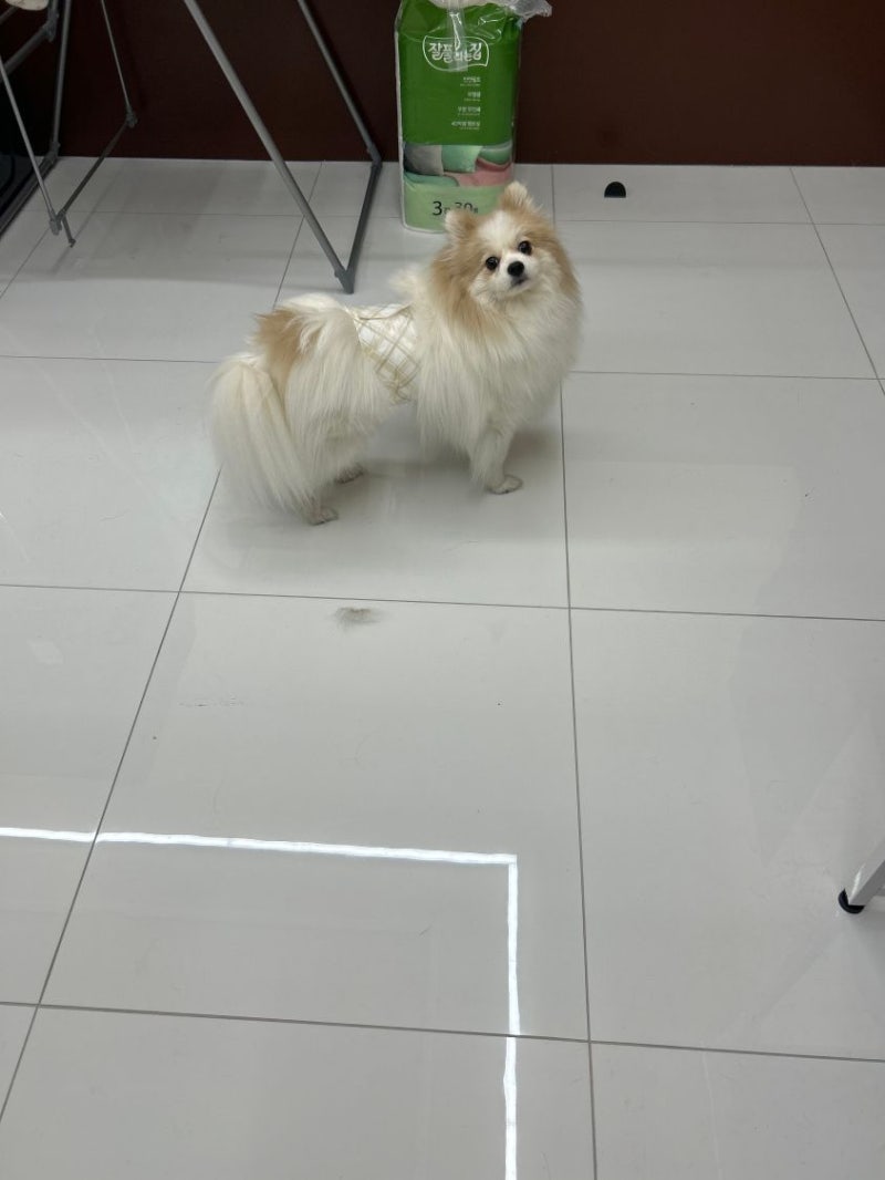 사진 4