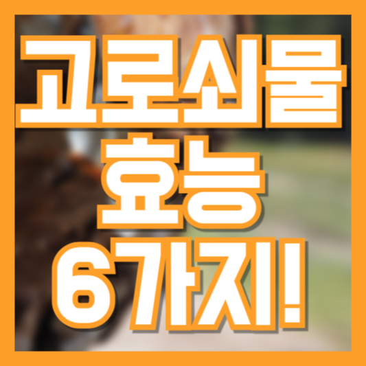  봄철 건강음료, 고로쇠물 효능 6가지!