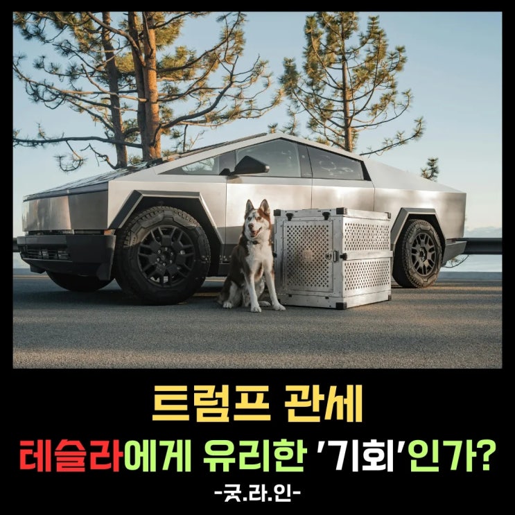트럼프 관세發 테슬라 주가 반등, 과연 '장밋빛 미래'일까? 트럼프 관세發 테슬라 주가 반등, 과연 '장밋빛 미래'일까?