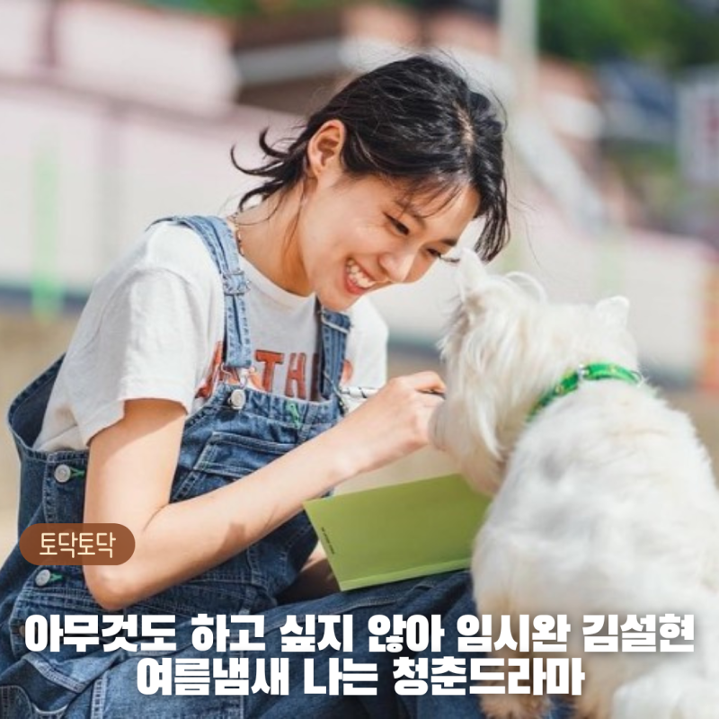 아무것도 하고 싶지 않아 임시완 김설현 여름 냄새나는 청춘 드라마