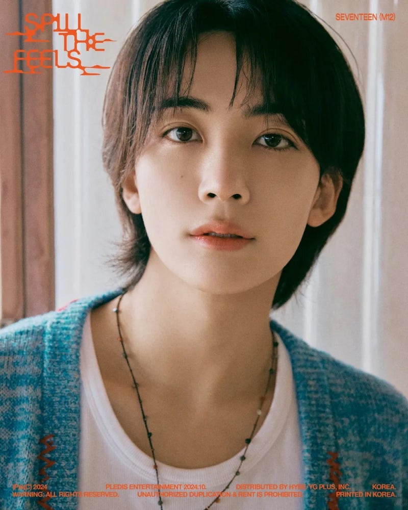 SEVENTEEN Jeonghan's Saju