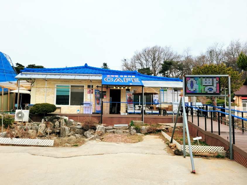 토니아 사진 2