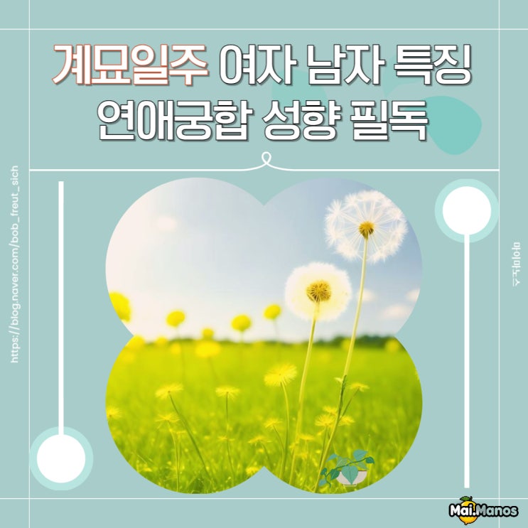  계묘일주 여자 남자 특징 사주연애궁합 성향 필독!