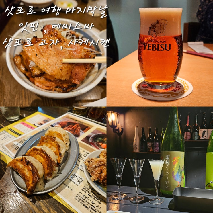 삿포로 잇핀 스텔라플레이스점에비스바 삿포로 아피아점SAPPORO 교자 제조소 타누키코지 점사케시켄サケシケン