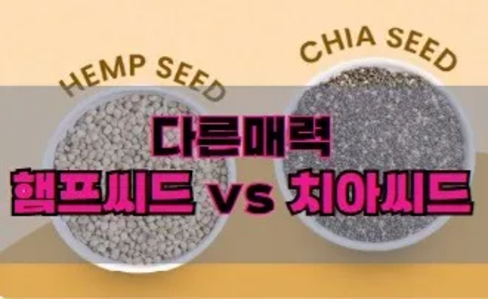  같은 슈퍼푸드? 다른 매력! 햄프씨드와 치아씨드 파헤치기