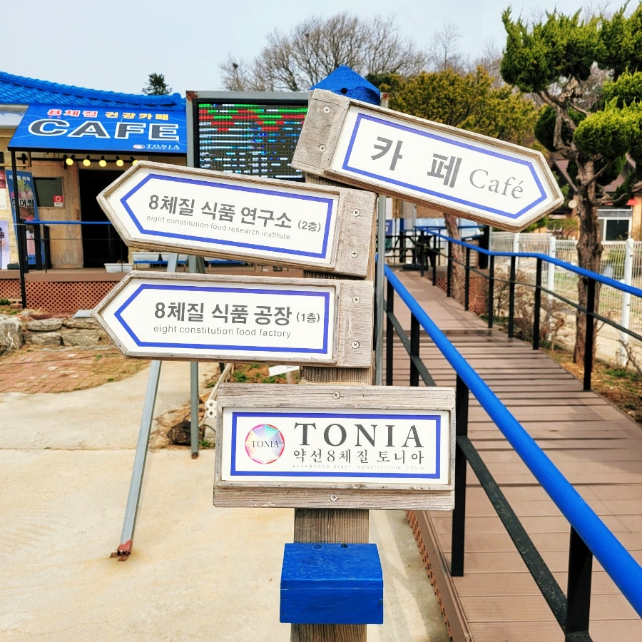 토니아 사진 5