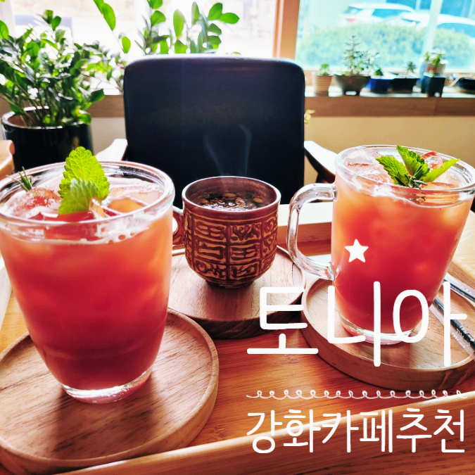 토니아 사진 1
