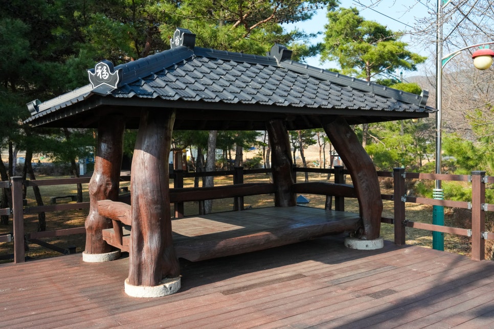 중평솔밭 사진 6