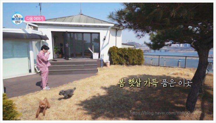  샤이니 키 꽃오이 플레이팅 새집 위치 공개 어디 캠핑템 나혼산