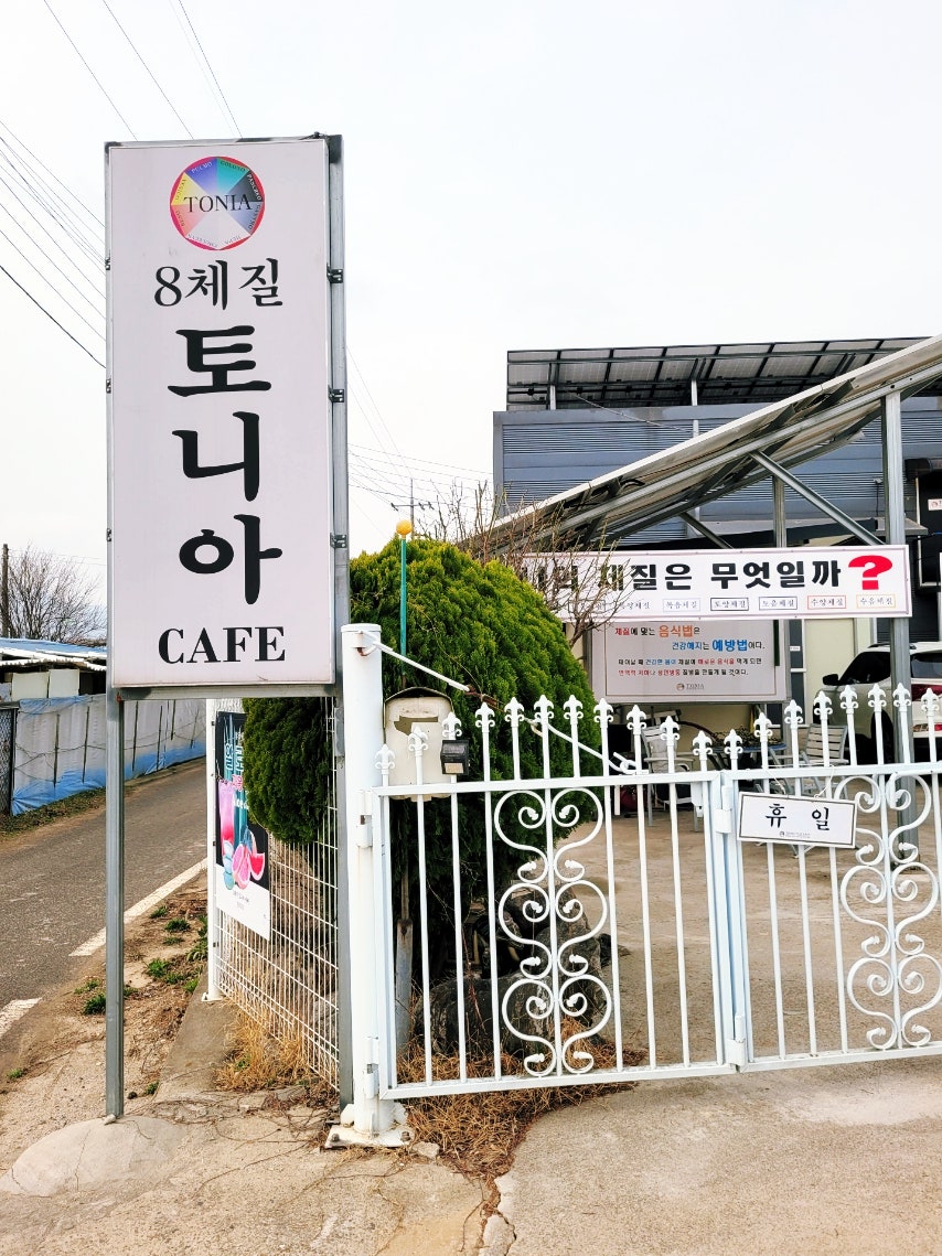 토니아 사진 3