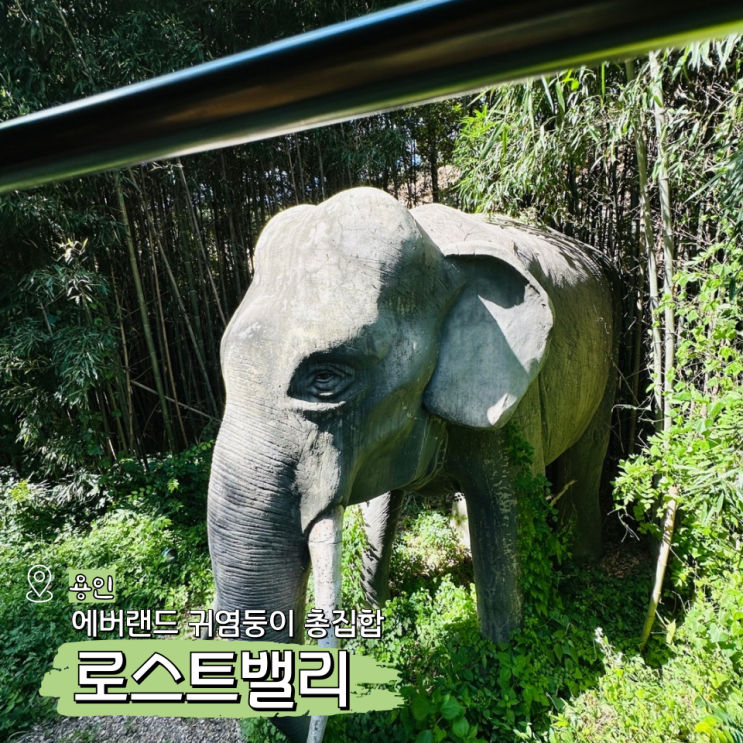  에버랜드 로스트밸리 총정리! 명당 자리 사파리 차이 스마트줄서기