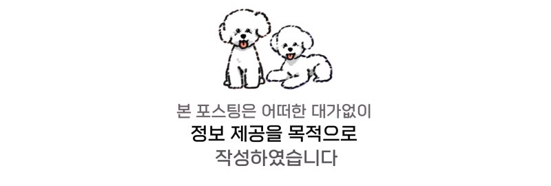 사진 4
