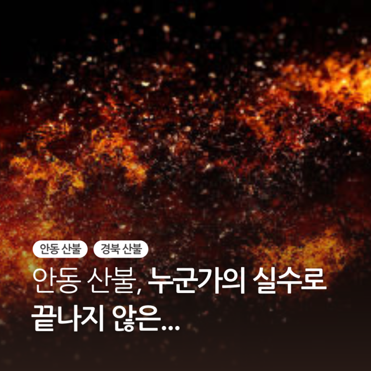 <b>경북</b> 대형 <b>산불</b> 원인, 안동 <b>산불 피의자</b> 처벌