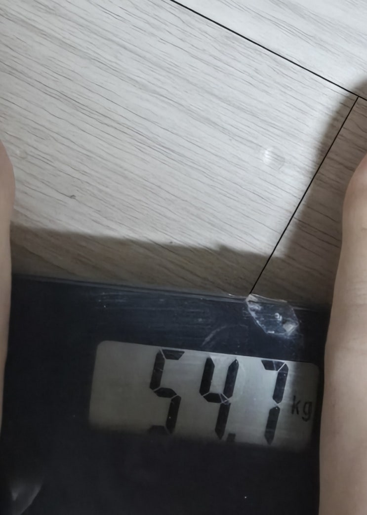  [다이어트] 272일차