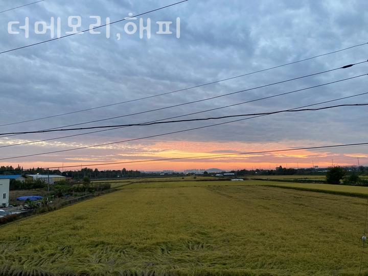 더메모리 해피 사진 2