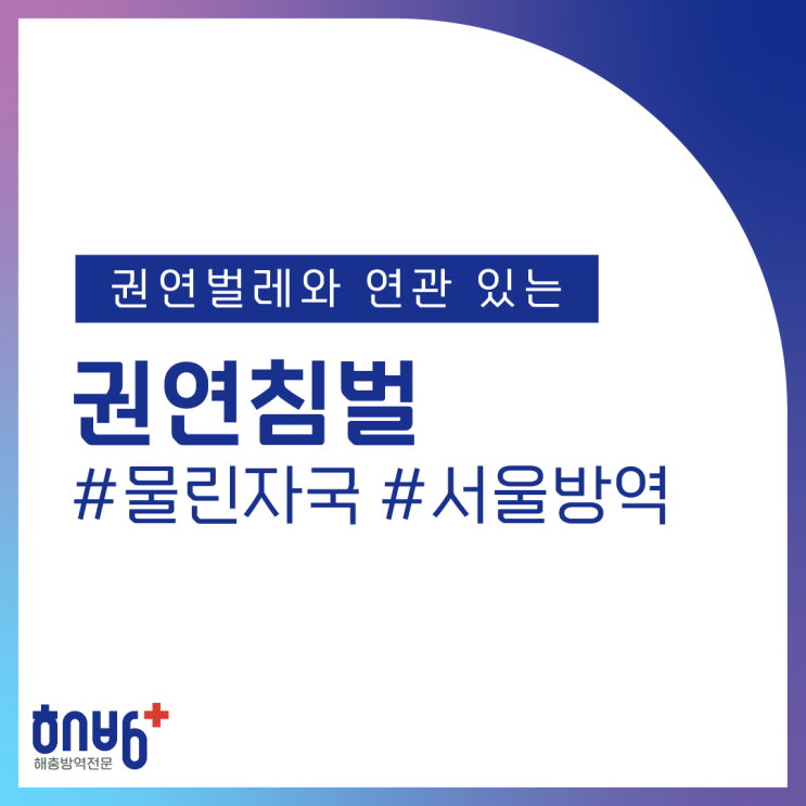  권연침벌 물린자국 원인 퇴치 서울방역