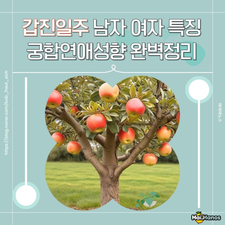  갑진일주 남자 여자 특징 사주궁합 연애성향 완벽정리!