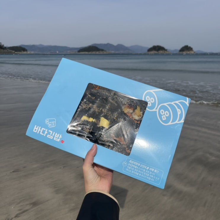  여수 엑스포역맛집 바다김밥 중앙본점 재재재방문, 무슬목해변피크닉