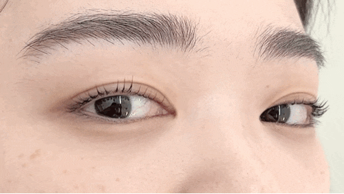  동탄호수공원 속눈썹펌 추천, 찐만족한 아이홀릭 속눈썹 후기