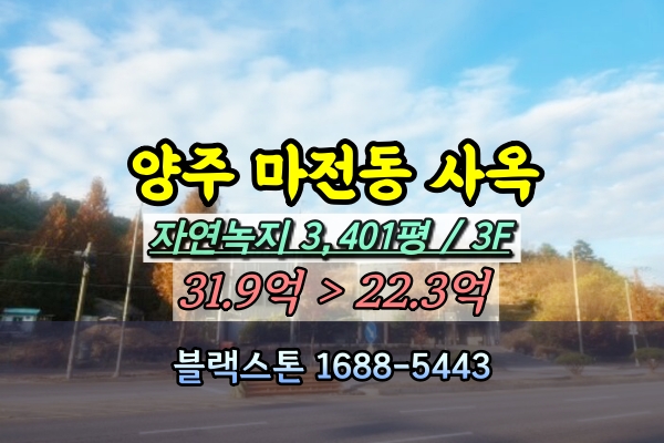  양주시 마전동 상가 경매 꼬마빌딩 2동 사옥 20억 [2024타경89739]