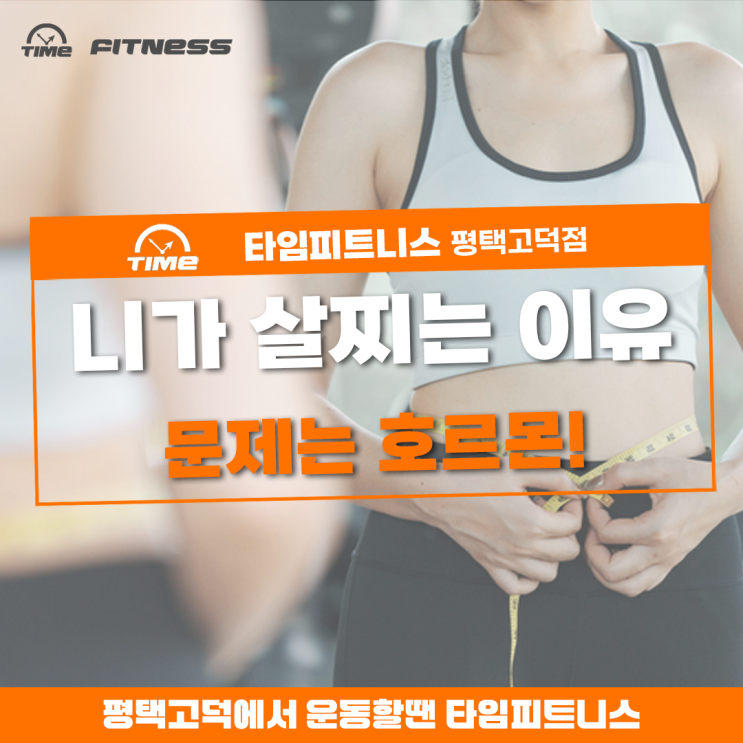  살이 계속 찐다고? 살찌는 원인을 해결해보자: 평택고덕헬스PT 타임피트니스