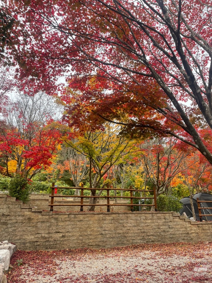  국민여가캠핑장 도장깨기 -ing!(서천/금산/고창)