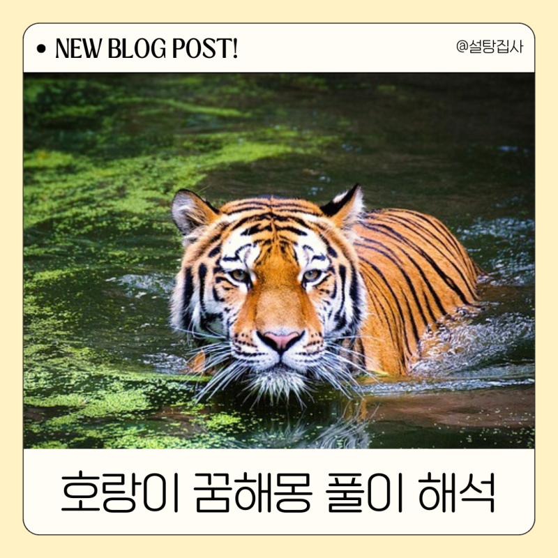 호랑이 죽이는 꿈해몽 호랑이 잡는 꿈 풀이 해석