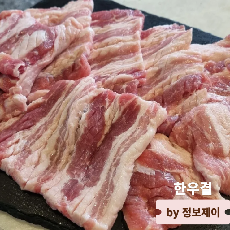  일산호수공원맛집 일산소고기 돼지갈비 맛집 한우결
